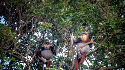 Vietnam - Lady Buddha - The Vietnam Experience (Part I): From the Hai Van Pass to the Dragon Bridge - Eat, explore and enjoy life in Da Nang City 🇻🇳🏖 #NotAnotherRetreat - 6