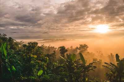 Indonesien - Yogyakarta International Airport - Experience the Best of Borobudur and Hike Mt. Prau in 5 Days - An Outdoor Adventure in Indonesia