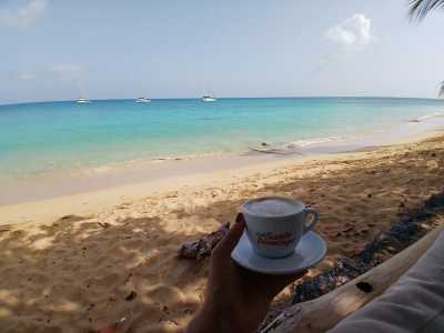 Dominikanische Republik - Bayahíbe - Live the Dominican Republic Like a Local: 11-Day Authentic Island Experience! - 1