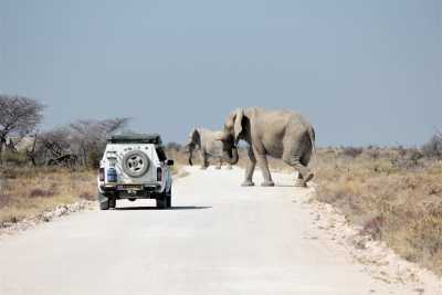 Namibia - Swakopmund - Namibia : Road Trip Safari Adventure - 4