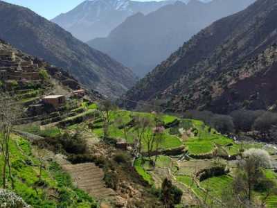 Marokko - Timichi - 3 Days Trekking The Atlas Mountains in Morocco ⛰️ - 1