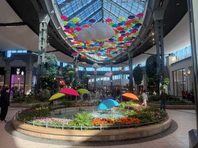Kanada - Laval - Ultimate Montreal Summer Experience 🇨🇦 | City, Nature & Local Life – Hosted Downtown + Airport Pickup! - 3