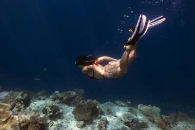 Australien - Great Barrier Reef - 🌴🪸 Daintree to Great Barrier Reef: A Co-Working Retreat in Port Douglas, Australia 🐠🇦🇺 - 5