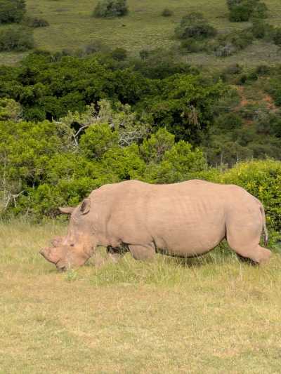 Südafrika - Albertinia - 🌞Ultimate 10-Day South Africa Road Trip🇿🇦Cape Town & The Garden Route – 🌊Adventure, Nature & Epic Vibes! - 19