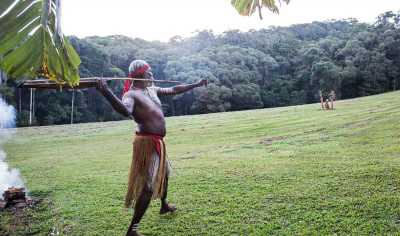 Australien - Kuranda - 🌴🪸 Daintree to Great Barrier Reef: A Co-Working Retreat in Port Douglas, Australia 🐠🇦🇺 - 1