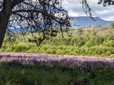 Argentina - El Bolsón - Hands-On Patagonia Adventure: Off-Grid Living, Hiking & Skill-Building - 1