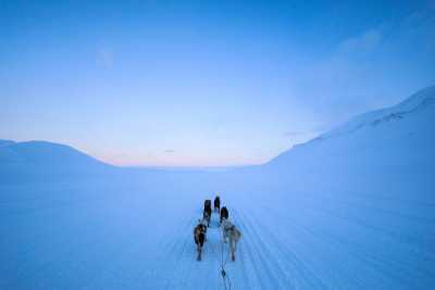 Svalbard - Longyearbyen - SVALBARD - THE NORTH IS CALLING