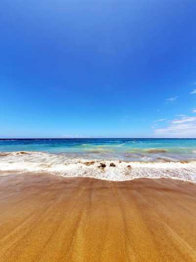 Spain - Los Cristianos - Sun, Nature and Soul  ✨-  A Relaxed Tenerife Journey from South to North - 2