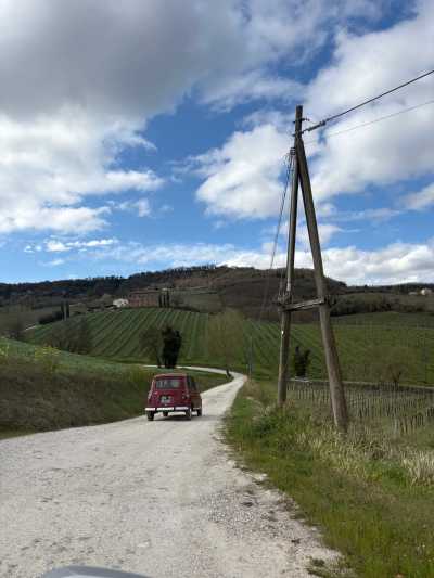 Italy - Orvieto - 🇮🇹Italy’s Green Heart💚, Slowly Savoured🍝🍷VII EDITION - ✨Luxury Stay🌿Wild Nature🏰Medieval Towns📍Traditions🤤Unique Flavors | Local Italian Coordinator +23 Group Trips hosted! - 12