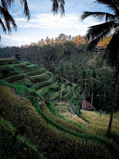 Indonesia - Ubud - Co-working in Bali: live in a Villa with Private Pool in Ubud City Center. Enjoy incredible activities in the weekend! - 10