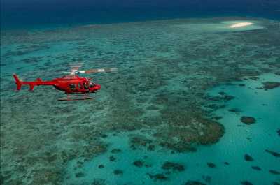 Australia - Great Barrier Reef - 🐊🪸 Ancient Daintree meets The Great Barrier Reef: A Week in Port Douglas, Australia 🐢🇦🇺 - 1