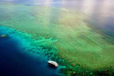 Australien - Green Island - 🌴🪸 Daintree to Great Barrier Reef: A Co-Working Retreat in Port Douglas, Australia 🐠🇦🇺 - 1