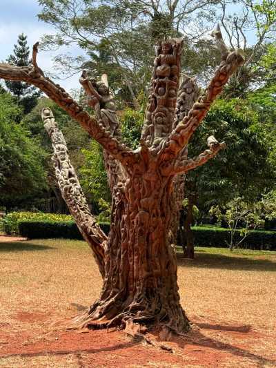 Ghana - Aburi Botanical Gardens & Park | TortoisePath.com - 7 Days Epic Experience In Ghana - 1