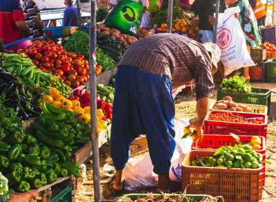 Morocco - Tamraght - Focus & Flow in Morocco: Coworking, Clarity and Space to Breathe - 1