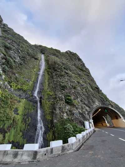 Portugal - Seixal - 💻Digital Nomad Co-Living & Adventure in Madeira 🌿🌅 Christmas lights, Yoga, Sunsets and more.. - 3