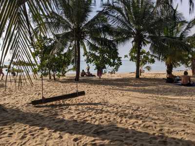 Thailand - Ko Pha Ngan - 🇹🇭 Thailand Wind & Ocean Adventure – Learn Kitesurfing or Diving 🪁🏄‍♂️🤿 🏝️ - 9