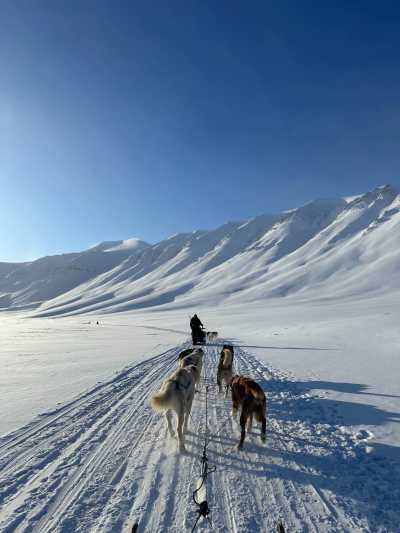 Svalbard - Longyearbyen - SVALBARD - THE NORTH IS CALLING - 6