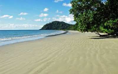 Australien - Cape Tribulation - 🌴🪸 Daintree to Great Barrier Reef: A Co-Working Retreat in Port Douglas, Australia 🐠🇦🇺 - 2