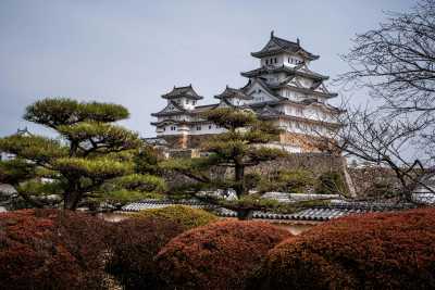 Japan - Himeji - JAPAN HIGHLIGHTS TOUR 12 Days EXCLUSIVE with train pass🔴! Cherry Blossom and more in 2026. - 1