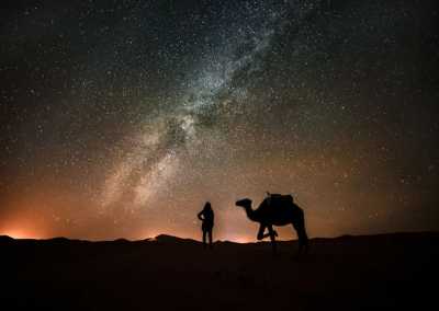 Morocco - Zagora - 🎬 Hollywood of Africa & Marrakech & Sahara Escape – 6 Days from Casablanca to the Desert 🐫✨ - 10