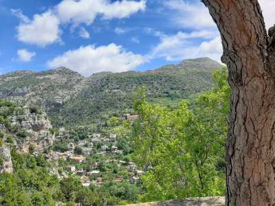 Libanon - Tannourine Cedar Reserve - Lebanon - 3 Days Mountain retreat: Hikes and more! - 1
