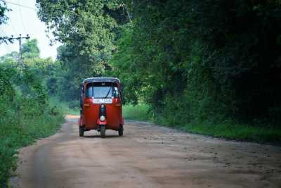 Sri Lanka - Sigiriya - 🌟 Magical Sri Lanka: From Ancient kingdoms to Dream Beaches 🐘🏞️🌺⛱️ - 3