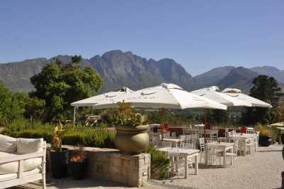South Africa - Stellenbosch - Traumreise Südafrika: Das Kap, der Wein, die Wale und Höhepunkte der Garden Route - 4