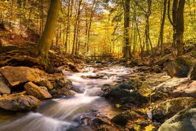 Germany - Ilse Wasserfälle - Wanderzeit im Harz mit Brocken-Tour, Deutschland - 1