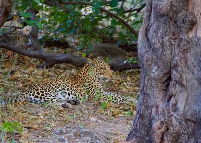 Südafrika - Aquila Private Game Reserve - Women's Wellness Journey - Sacred Sisterhood - 6