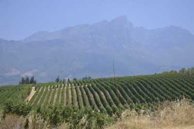 South Africa - Montagu - Südafrika: das atemberaubende Kap trifft auf das Biospähren-Reservat Blyde - Krüger - 2