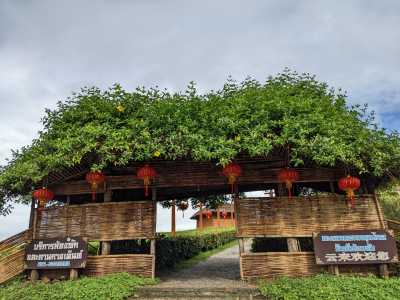 Thailand - Pai Walking Street - 🇹🇭 Nordthailand entdecken - inkl. 3 Tage im Buddhistischen Kloster, Megacity Bangkok & das alte Königreich Sukhothai 🍻🏯🌿🐘 - 3