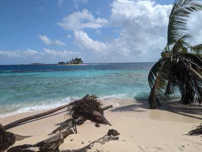 Panama - Panama City - PANAMA - Das Paradies zwischen zwei Ozeanen: Entdecke Panamas unberührte Vielfalt in 10 Tagen 🦥🌴 - 2