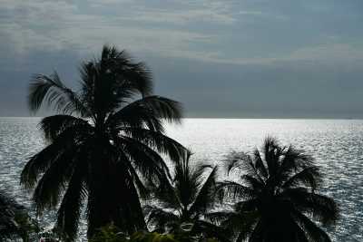 Tanzania - Paje Beach - Zanzibar Workcation: Cowork, Chill, and Explore Paradise(Shared room) - 2