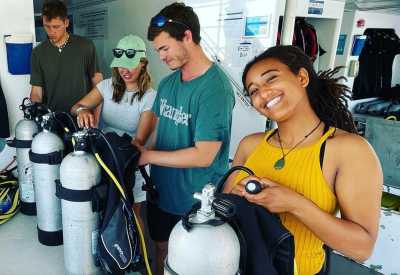 Australia - Great Barrier Reef - 🌴🪸 Daintree to Great Barrier Reef: A Co-Working Retreat in Port Douglas, Australia 🐠🇦🇺 - 3