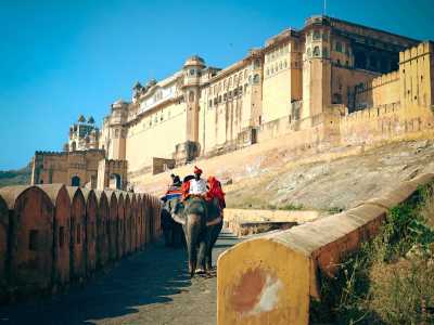 India - Jaipur - 9-Day India: Holi, Tigers & Beyond the Golden Triangle - 4