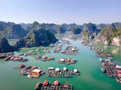 Vietnam - Cát Bà Island - 🇻🇳 Iconic Vietnam Unveiled: From Emerald Bays to Lantern-lit Streets 🏮 - 2