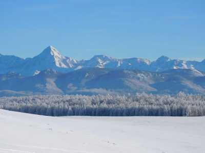 Mongolei - Gorkhi Terelj National Park - Mongolia Winter expedition: Meet the reindeer herders of the Taiga and visit the frozen Khuvsgul lake - 2