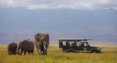 Kenia - Amboseli National Park - 🌍 Wild Wonders of Kenya | All-Inclusive Raw Nature Jeep Safari 🐘🦁🌅 - 5