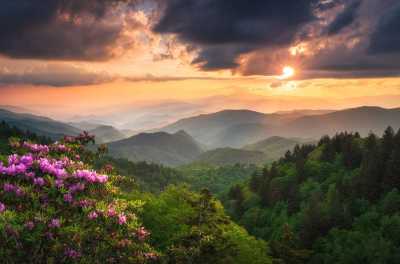 United States - 🍝 All-inclusive Luxury Smoky Mountain Cabin Escape (PRIVATE ROOM) 🏔 - JoinMyTrip