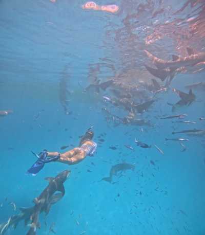 Maldives - Between Two Islands: Maafushi & Dhigurah Experience 🌴 - JoinMyTrip