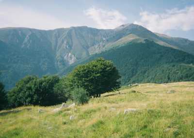 Nepal - Ghorepani Poon Hill Trek - 🇳🇵 Nepal I The Life Between Villages and Peaks - 1