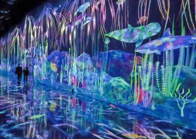 Japan - teamLab Planets TOKYO DMM - 🇯🇵Japan Trip To The Future :Food, Culture, Snow & Wildlife - 5