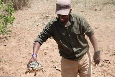 Tansania - Arusha - 4 Day Tanzania Safari to Serengeti National Park and Ngorongoro Crater