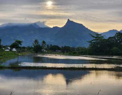 Philippinen - Brooke's Point - Palawan Paradise Exploration: From El Nido to Balabac, Philippines - White Beaches to Cultural Delights! - 4