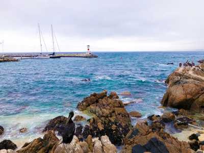 Chile - Viña del Mar - Chile New Year’s Eve Trip 🎇 | Deserts, Glaciers & Penguins 🐧🏔️ - 1