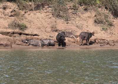 Laos - Nong Khiaw - Laos Adventure - 12 Tage voller Abenteuer, Wasserfälle, Kayak und Tempel - 7