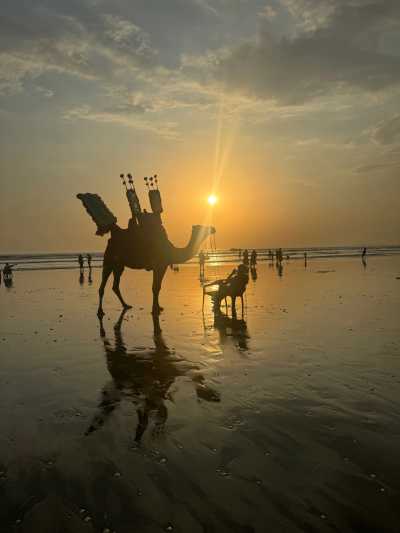 Pakistan - Karachi - Deep Dive Pakistan: Culture, Community & Mountains - 1