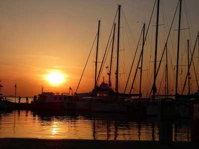 Greece - Athens International Airport "Eleftherios Venizelos" - 🇬🇷Greece:⛵Sailing into Freedom-Explore the Saronic Gulf - 2