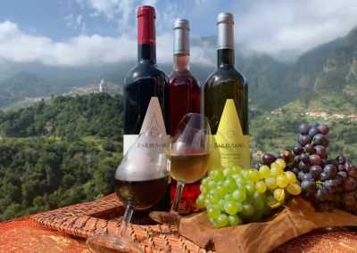 Portugal - Levada do Caldeirão Verde - 🌅 The Hawaii of Europe: MADEIRA! 🌤️ Private Authentic Thatched Farm Villa, Hiking, Wine Tasting, Beaching and Vibes!! - 5