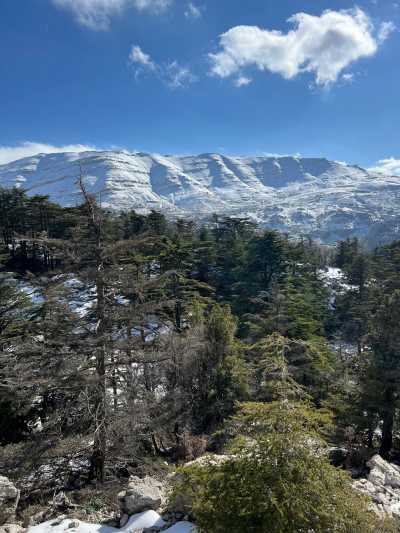 Lebanon - Tannourine Cedars Reserve - Lebanon Winter Adventure - Skiing, Hiking, Sightseeing & Hidden Gems - 1